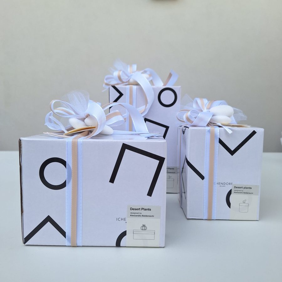 Ichendorf Box - immagine 4