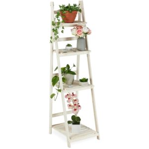 Decorazioni - Fiorirà un giardino Scaletta