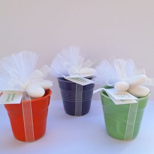 Tazzine Revol multicolor