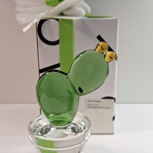 Ichendorf Segnaposto/Fermacarte Cactus