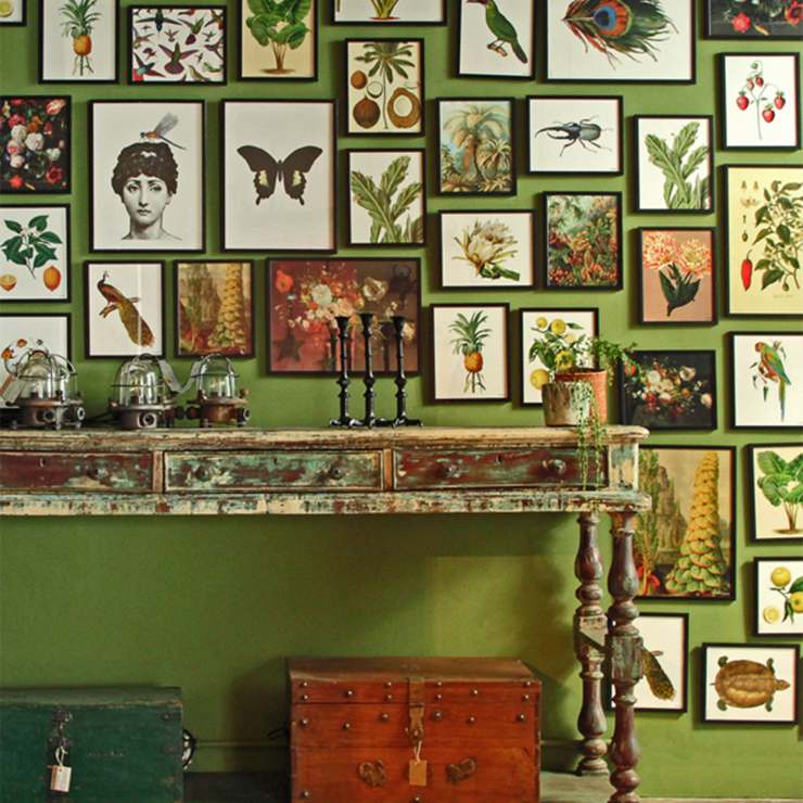 Decorazioni - Vanilla Fly Quadri 20x25 Animali e Insetti - immagine 2